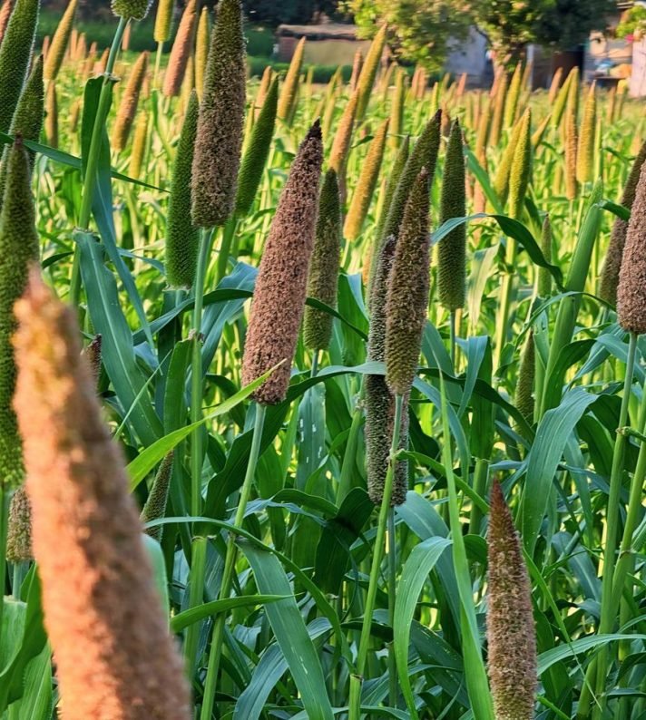 WhatsApp Image 2026-01-19 at 11.22.37 PM